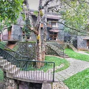 Wildernest Bed & Breakfast